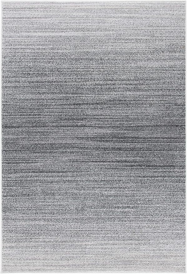 SAFAVIEH Adirondack Collection Accent Rug - 4' x 6', Grey & Ivory, Modern Ombre Design, Non-Shedding & Easy Care, Ideal for High Traffic Areas in Entryway, Living Room, Bedroom (ADR142F)