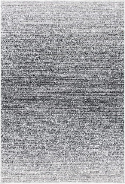 SAFAVIEH Adirondack Collection Accent Rug - 3' x 5', Grey & Ivory, Modern Ombre Design, Non-Shedding & Easy Care, Ideal for High Traffic Areas in Entryway, Living Room, Bedroom (ADR142F)