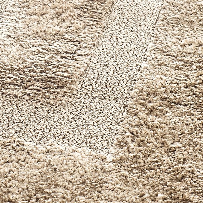 SAFAVIEH Florida Shag Collection Accent Rug - 4' x 6', Beige & Beige, Border Design, Non-Shedding & Easy Care, 1.2-inch Thick Ideal for High Traffic Areas in Foyer, Living Room, Bedroom (SG454-1313)