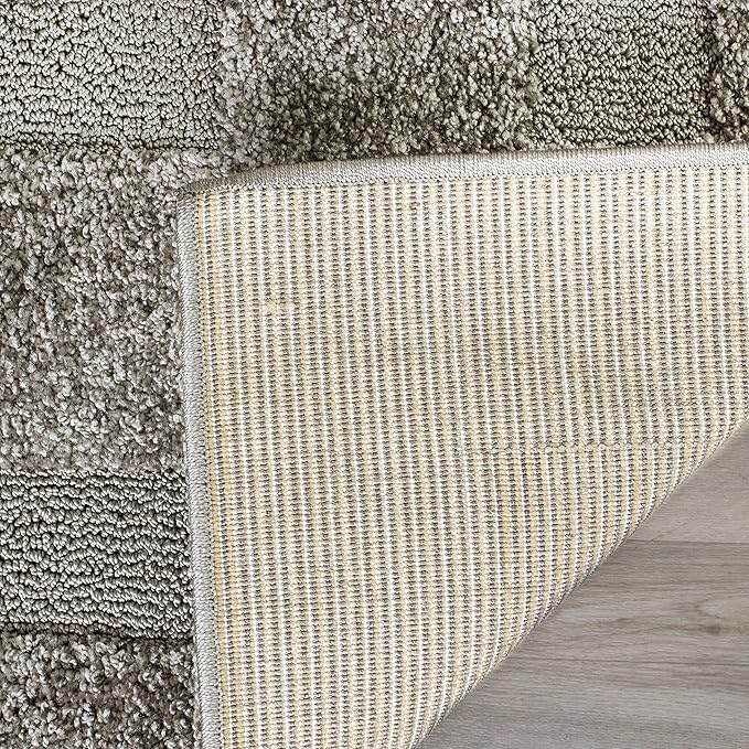 SAFAVIEH Florida Shag Collection Accent Rug - 4' x 6', Grey & Grey, Border Design, Non-Shedding & Easy Care, 1.2-inch Thick Ideal for High Traffic Areas in Entryway, Living Room, Bedroom (SG454-8080)